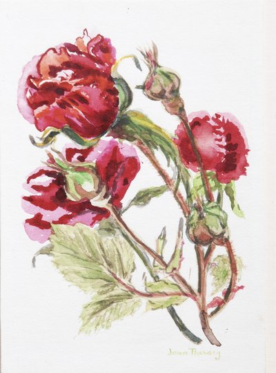 Spray di rosa rossa, 2001 da Joan Thewsey